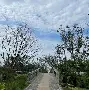  穆古鲁扎爆冷击败MAD，精彩发挥引爆全场！